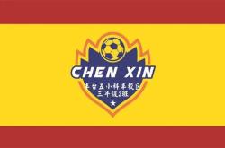 包含球场英雄谱写胜利新篇章，展现团队合作力量的词条