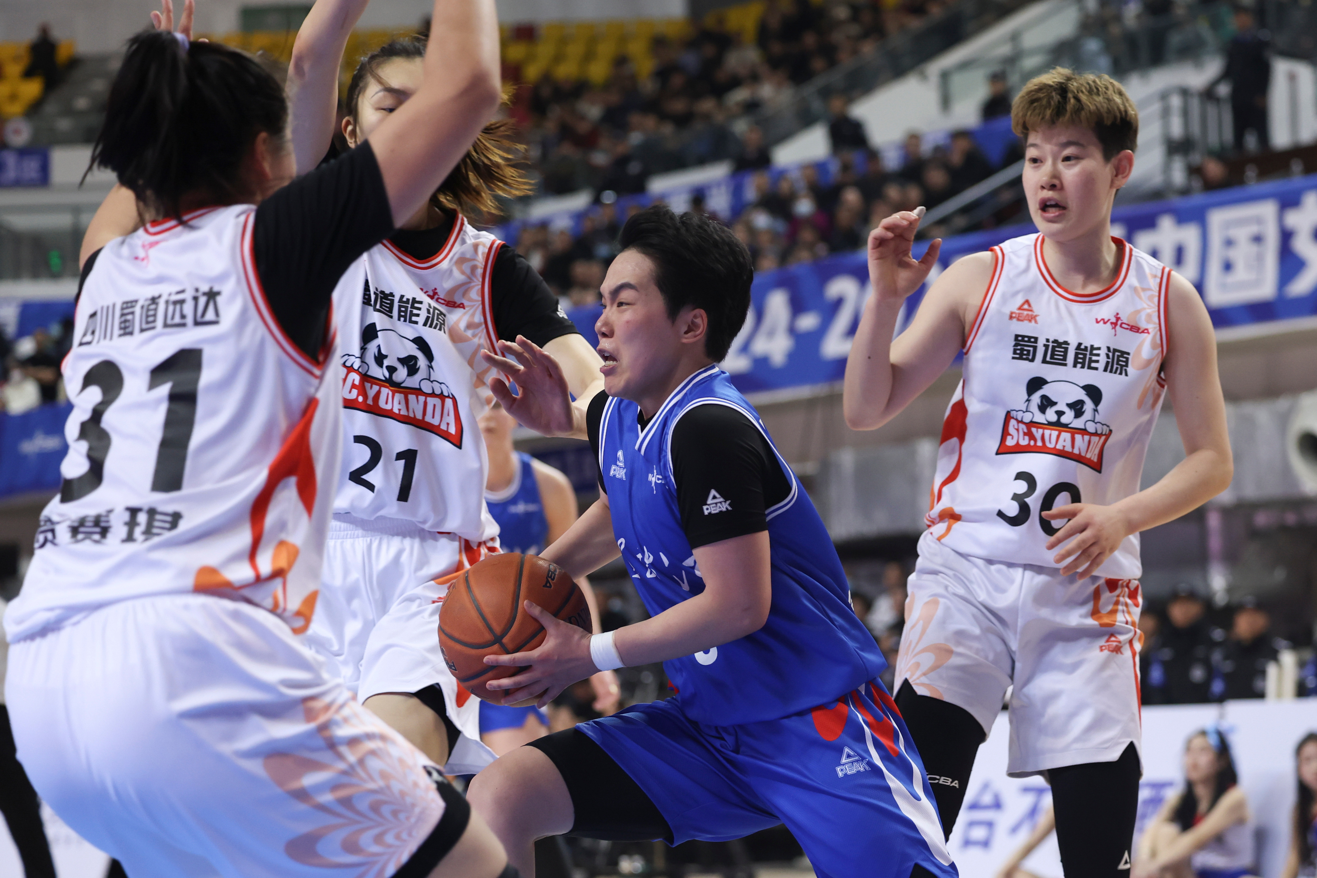四川篮球队在今日比赛中勇夺胜利，队员表现突出的简单介绍